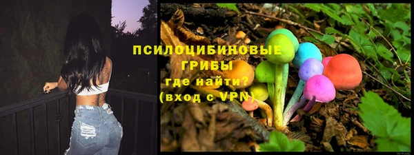 spice Вязьма